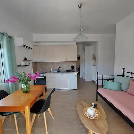 Dimitra's 4 Klm Away From Chora Appartamento Steniaí