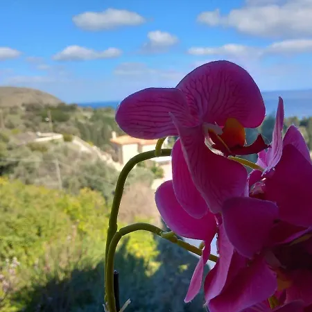 Dimitra's 4 Klm Away From Chora Appartamento