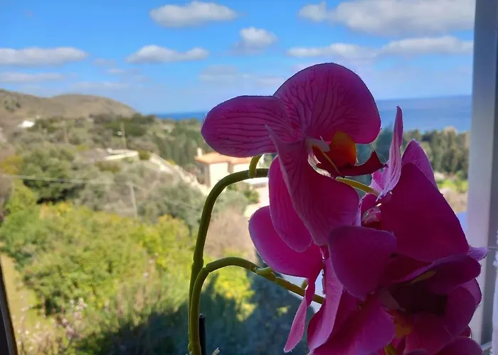 Dimitra's 4 Klm Away From Chora 아파트